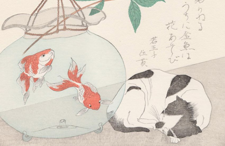猫と金魚
