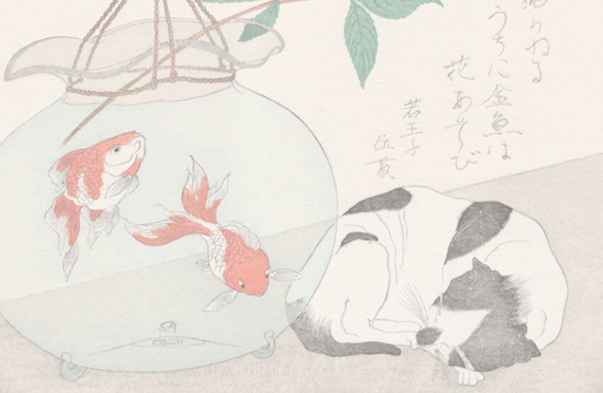猫と金魚