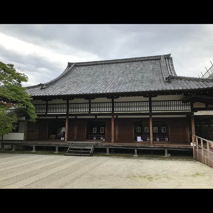 立原位貫　inuki tachihara 浮世絵