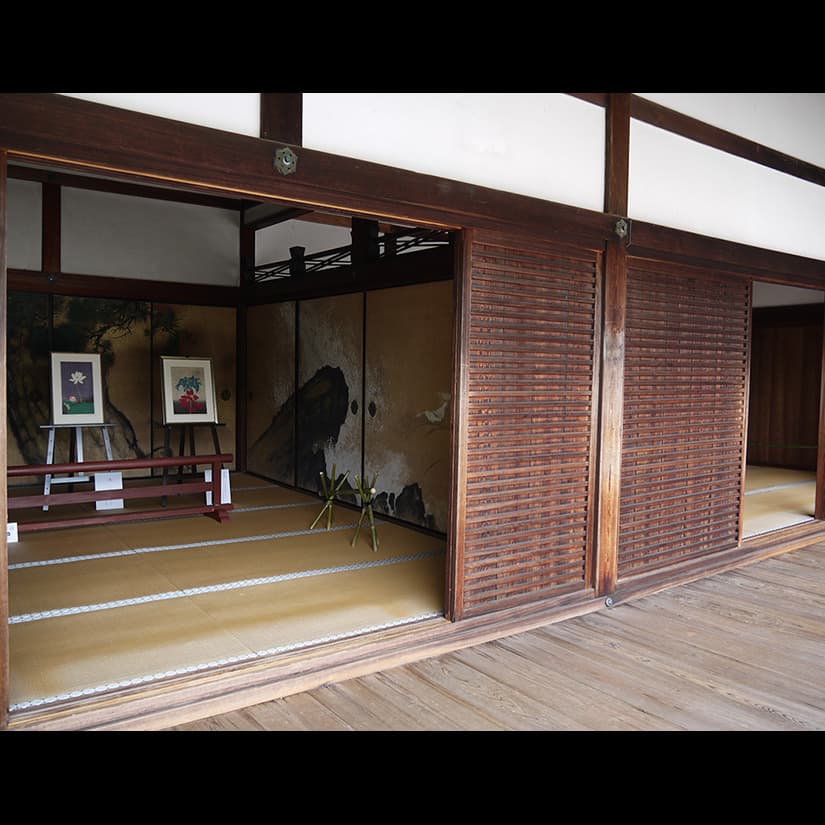 立原位貫　inuki tachihara 浮世絵