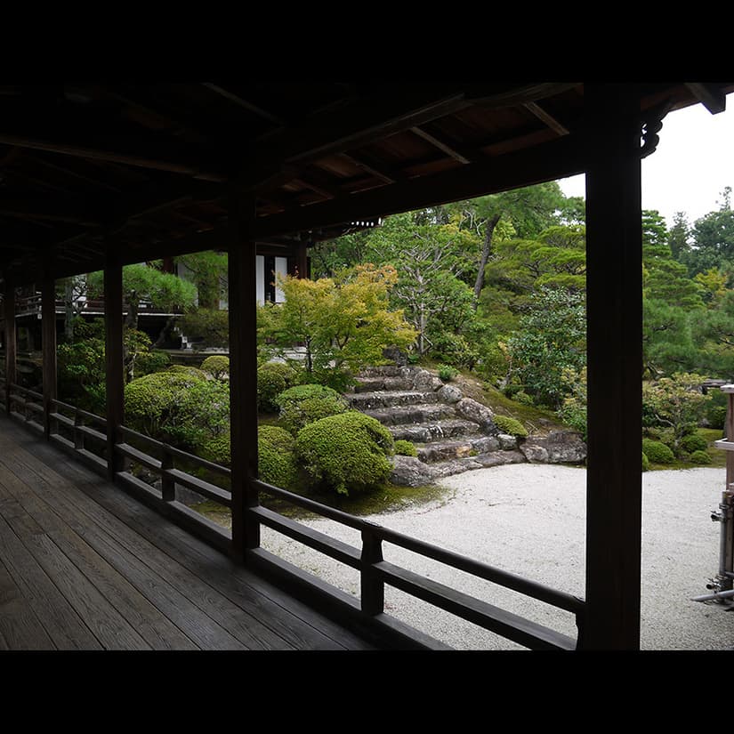 立原位貫　inuki tachihara 浮世絵