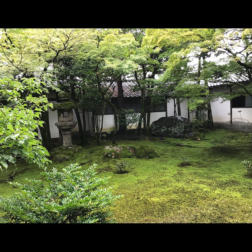 立原位貫　inuki tachihara 浮世絵