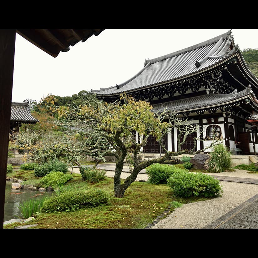 立原位貫　inuki tachihara