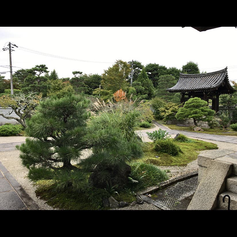 立原位貫　inuki tachihara